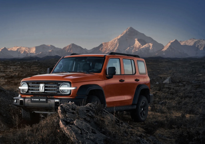 Изменение стоимости на TANK 300 для России